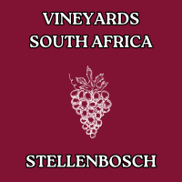   ВИНОГРАДНИКИ   STELLENBOSCH  SOUTH AFRICA