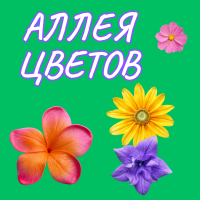 Аллея Цветов