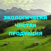 ЭКОЛОГИЧЕСКИ  ЧИСТАЯ  ПРОДУКЦИЯ