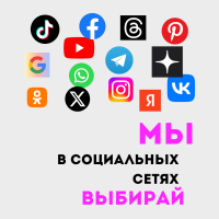 Социальные сети Perfecto Domo