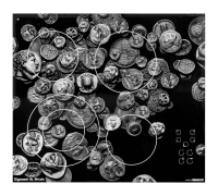 ZIGMUND & SHTAIN CNS-95.6 DX