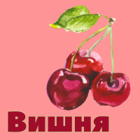 ЯГОДЫ  ВИШНЯ