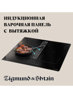 ИНДУКЦИОННЫЕ ВАРОЧНЫЕ ПАНЕЛИ С ВЫТЯЖКОЙ