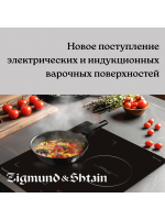 ЭЛЕКТРИЧЕСКИЕ ВАРОЧНЫЕ ПОВЕРХНОСТИ ZIGMUND & SHTAIN
